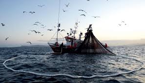Condições de trabalho dos pescadores:entrou em vigor Convenção da OIT