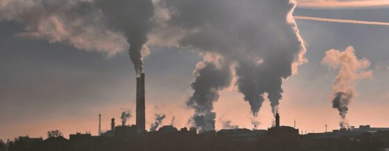 A COP 28 em debate-parar o aquecimento global
